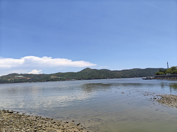 IMG20250809131538_1.jpg IMG20250809131538_1.jpg