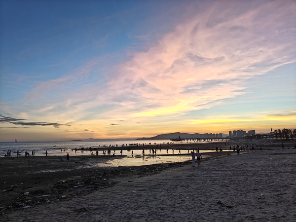 IMG20250809190825_1.jpg IMG20250809190825_1.jpg