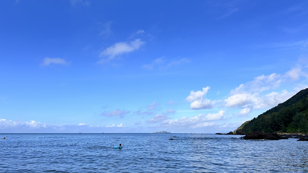 mmexport1754834539361_1.jpg mmexport1754834539361_1.jpg