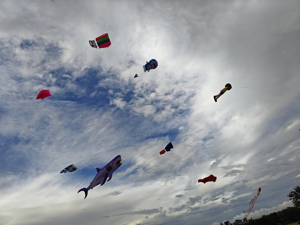 IMG20250907174013_1.jpg IMG20250907174013_1.jpg