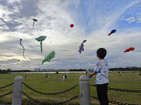 IMG20250907172624_1.jpg IMG20250907172624_1.jpg