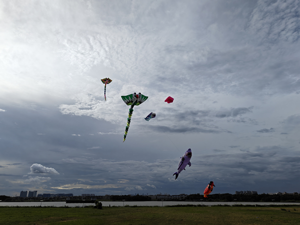 IMG20250907164814_1.jpg IMG20250907164814_1.jpg