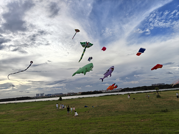 IMG20250907172740_1.jpg IMG20250907172740_1.jpg