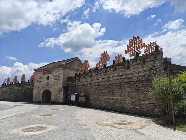 IMG20250829121735_1.jpg IMG20250829121735_1.jpg