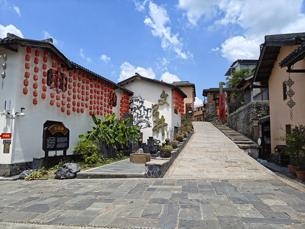 IMG20250829123544_1.jpg IMG20250829123544_1.jpg